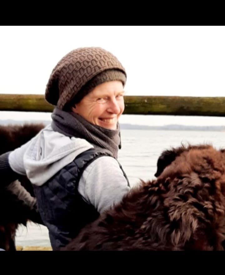 Bild für Testimonial 1