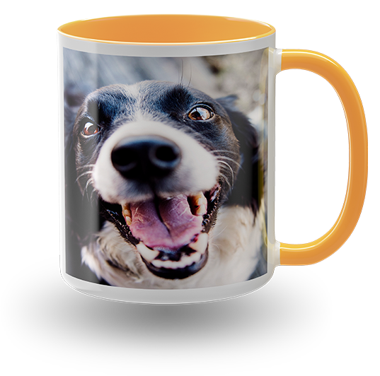 Bild von Empfehlungsgeschenk Die neue dritte Belohnung