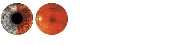 Wird im dunklen Footer angezeigt. Falls leer, wird das Header-Logo verwendet.